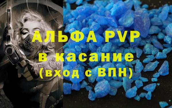 spice Беломорск