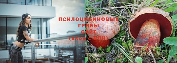 spice Беломорск