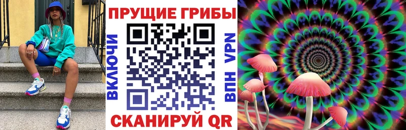 купить цена Лабинск Галлюциногенные грибы прущие грибы